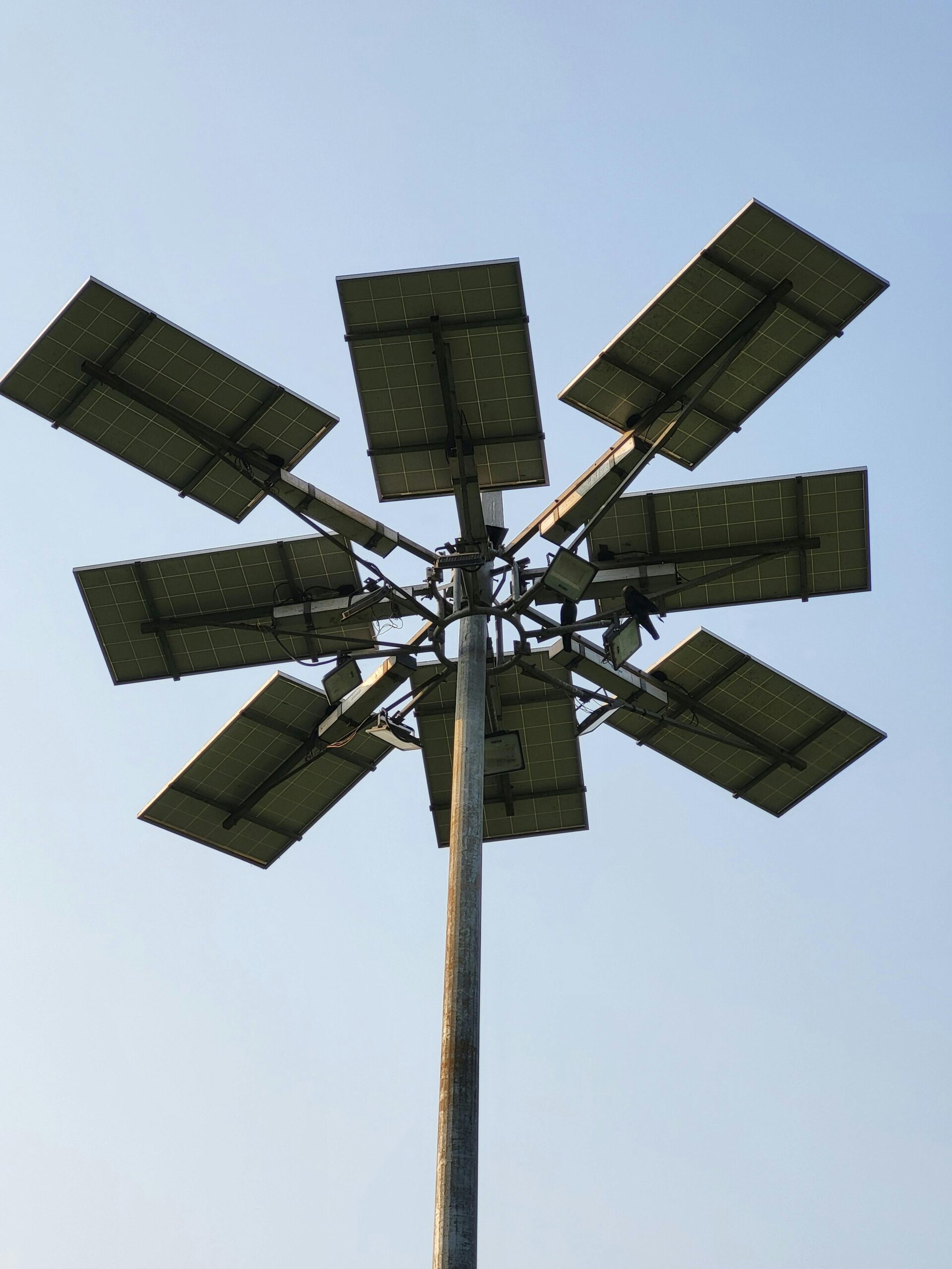 Solar Street Light